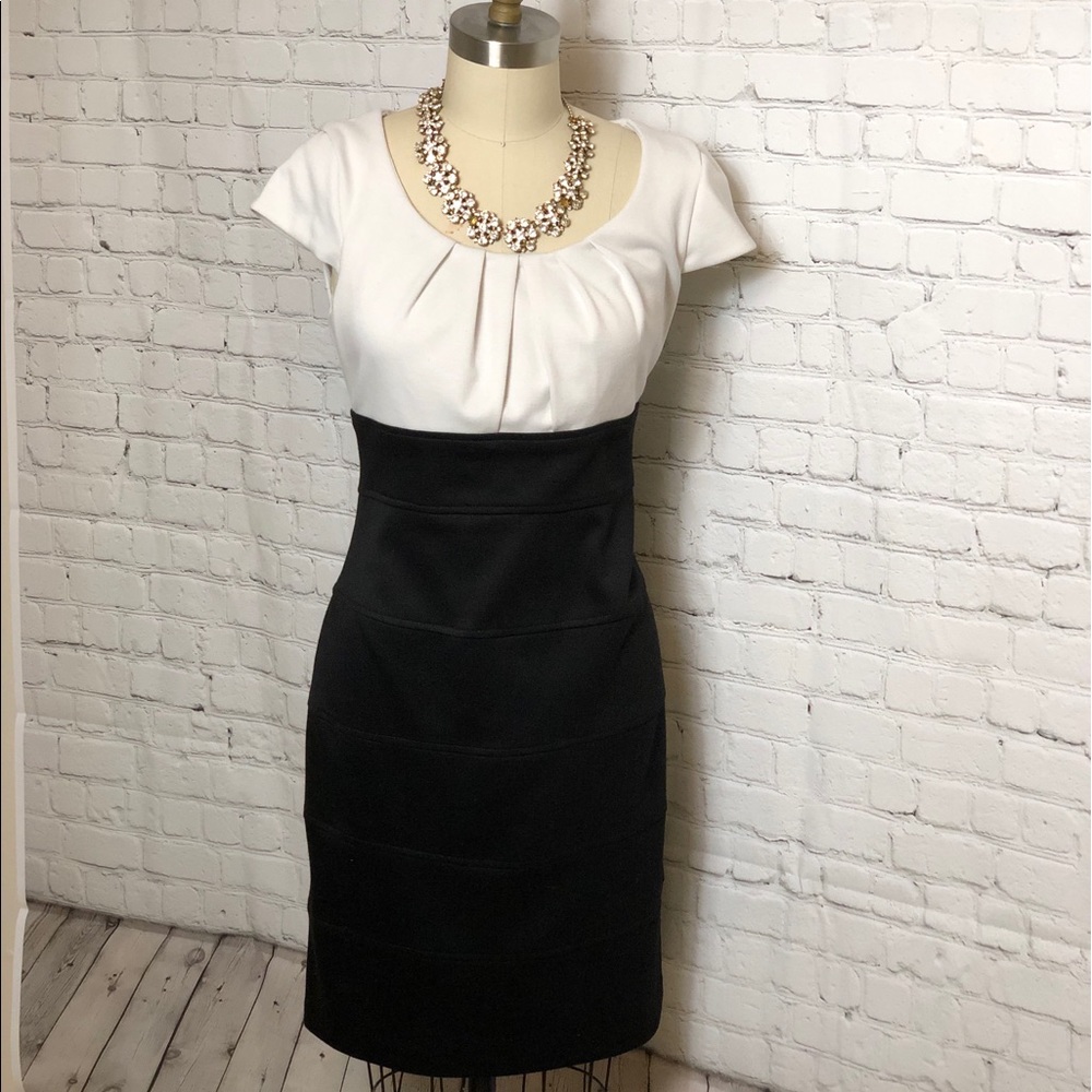 New York & Co Color Block Sheath Dress